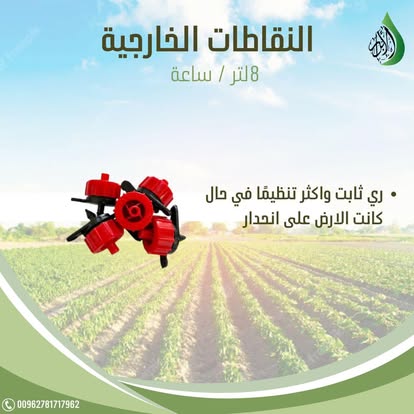 صورة 12