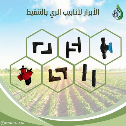 صورة 13