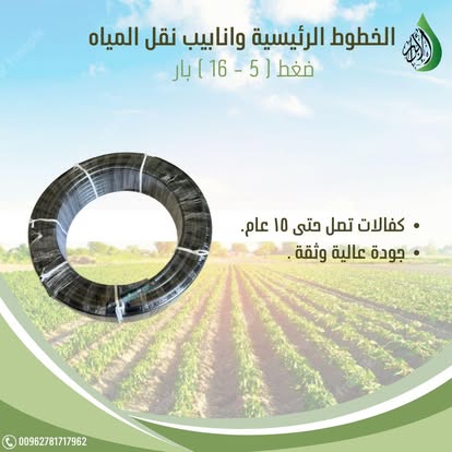 صورة 10